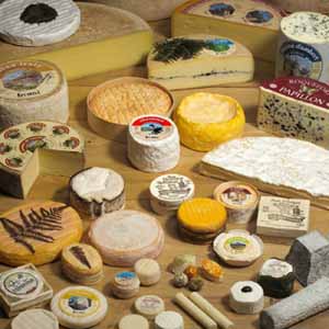 French cheeses